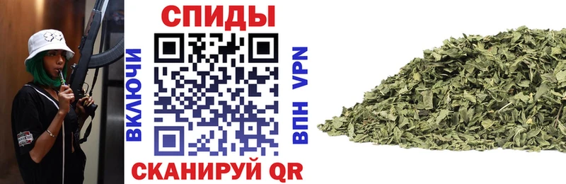 Бутират буратино  Фатеж 