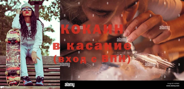 мяу мяу мука Алзамай